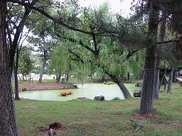 nara1.JPG