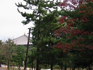 daibutudenura.JPG